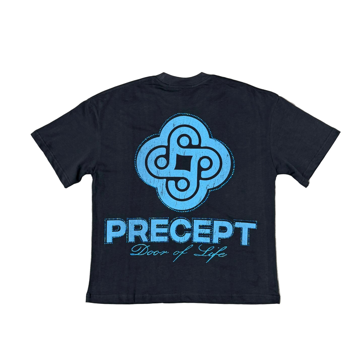 PRECEPT “Astro Girl”
