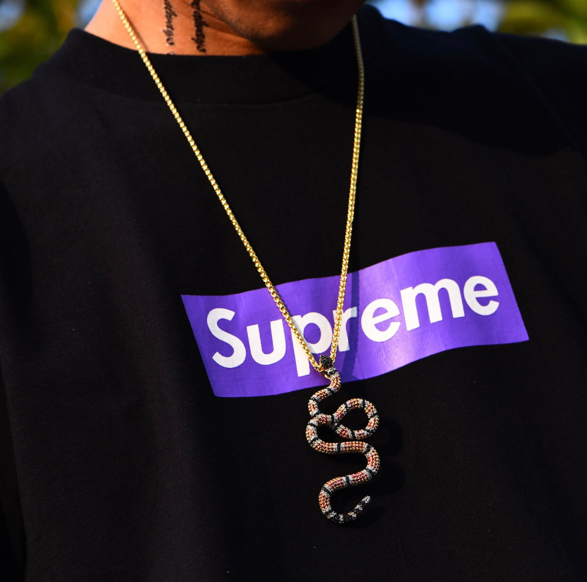 Iced Gucci Snake π
