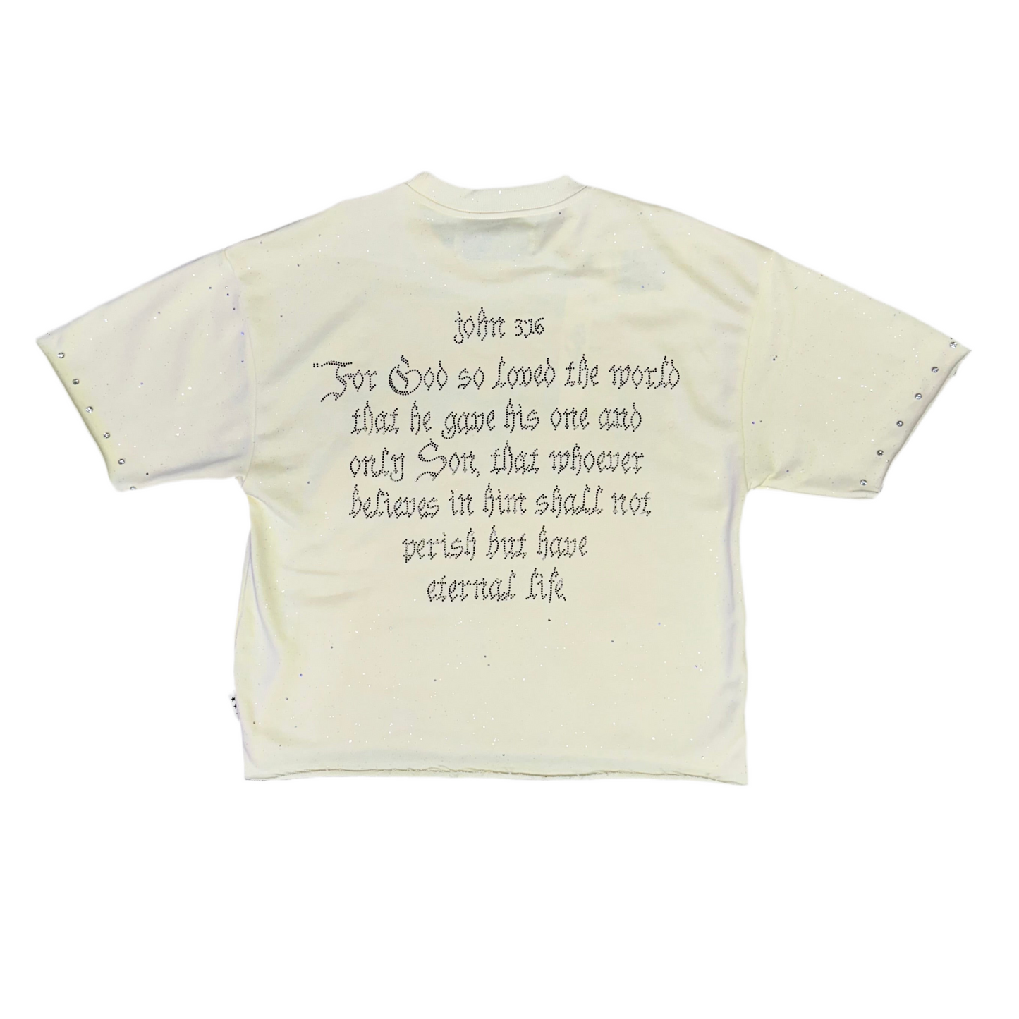 BKYS “Holy” Rhinestones [bone white crop top]