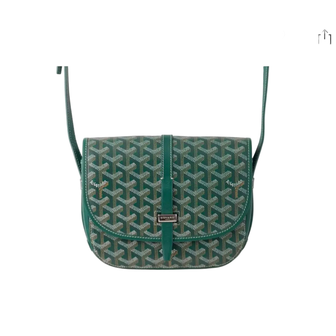 Goyard Belvedere PM “Green”