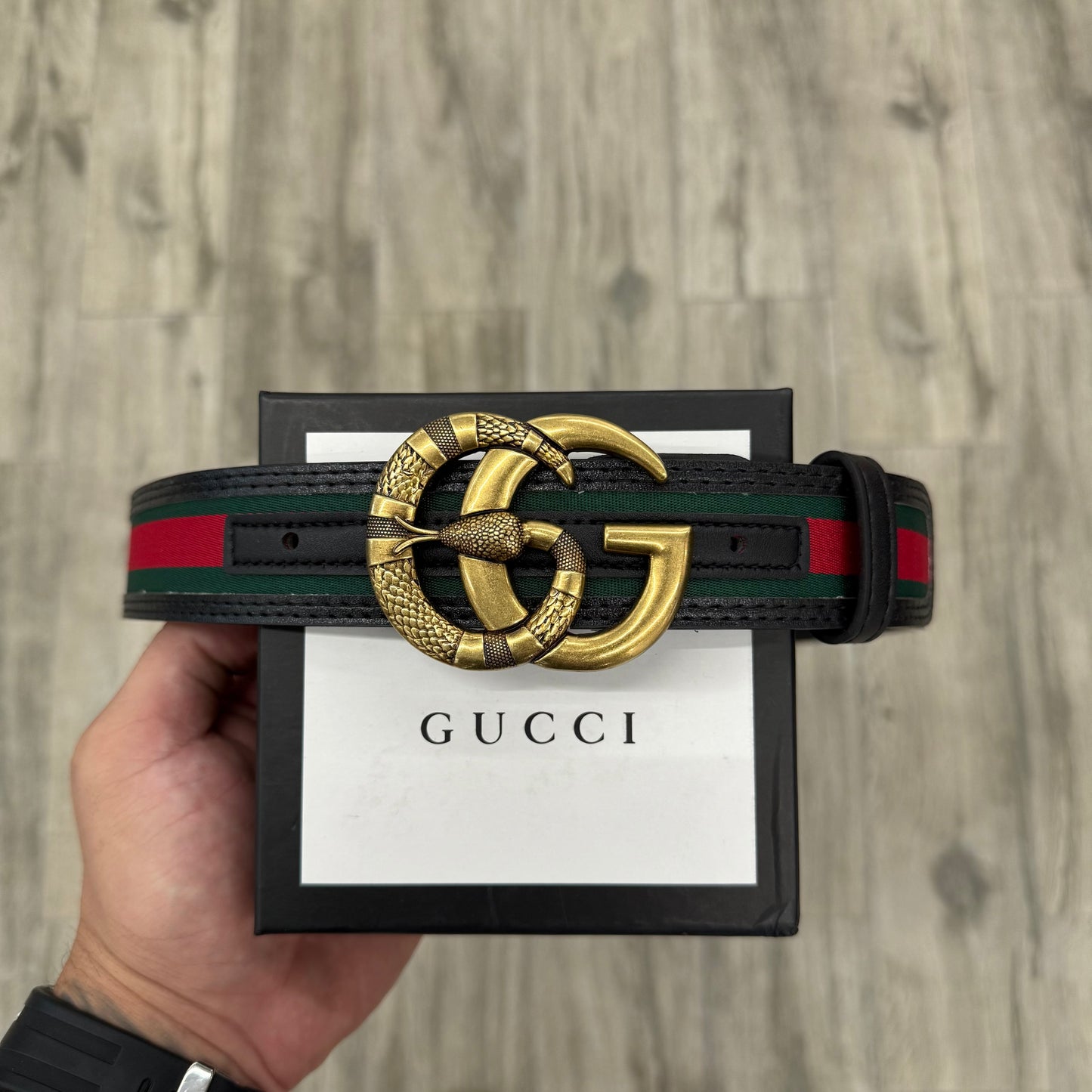 GG Snake (green/red)